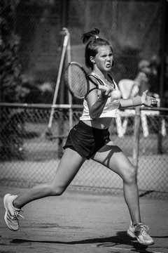 Ausschnitte 1822 - Rosenpokal Uetersen